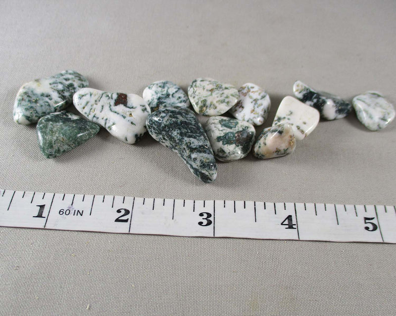 Tree Agate Polished Stones (Small) 5pcs J065**