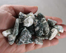 Tree Agate Polished Stones (Small) 5pcs J065**