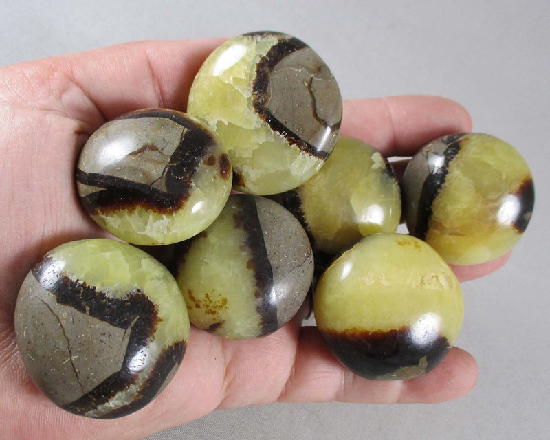 Septarian Dragonstone Polished Gallet 1pc T243