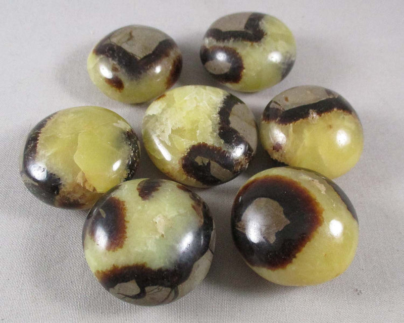 Septarian Dragonstone Polished Gallet 1pc T243