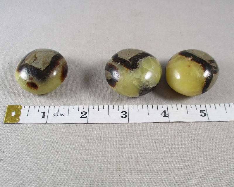 Septarian Dragonstone Polished Gallet 1pc T243