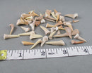 Sand Shark Teeth 20 Grams H014