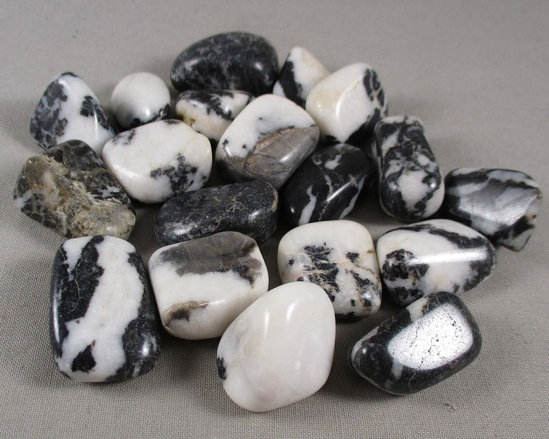 Zebra Jasper Polished Stones Black & White 2pcs T331