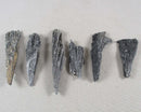 Black Kyanite Crystal Blades Raw 3pc J147**