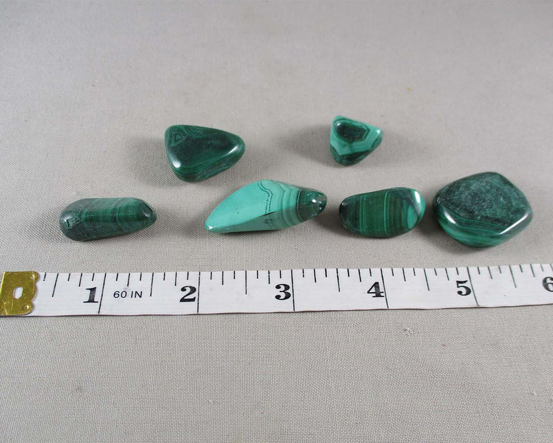 Malachite Polished Stone (Small) 1pc J020