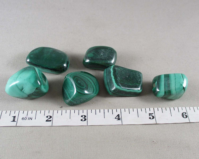 Malachite Polished Stone (Medium) 1pc J021