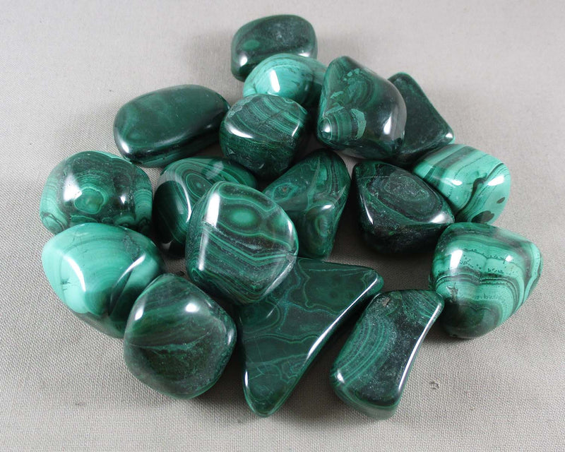 Malachite Polished Stone (Medium) 1pc J021