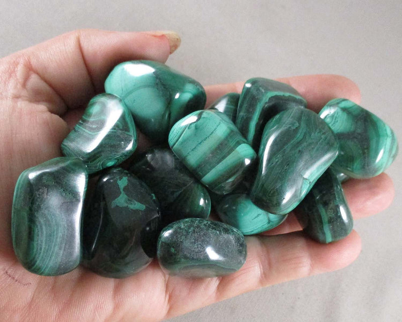 Malachite Polished Stone (Medium) 1pc J021