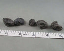 Small Lava Stones Raw 120 grams H144**