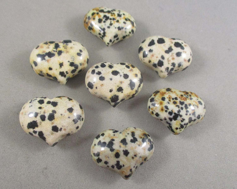 Dalmatian Jasper Stone Heart 1pcs (1363)