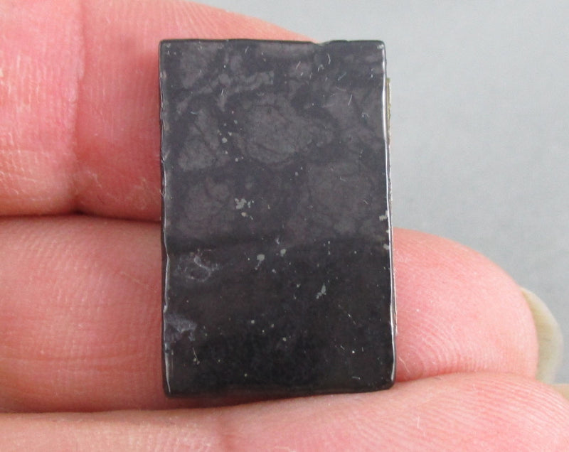 Shungite Rectangle Protector Stone 1pc Z035