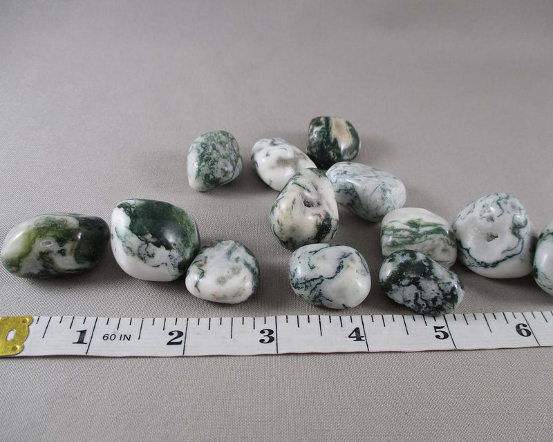 Tree Agate Polished Stones (Medium) 3pcs J019**