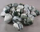 Tree Agate Polished Stones (Medium) 3pcs J019**