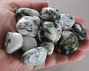 Tree Agate Polished Stones (Medium) 3pcs J019**