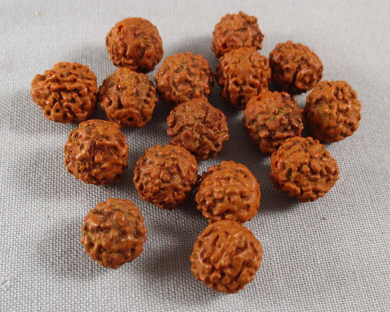 Rudraksha Seed Beads (Various Sizes*)