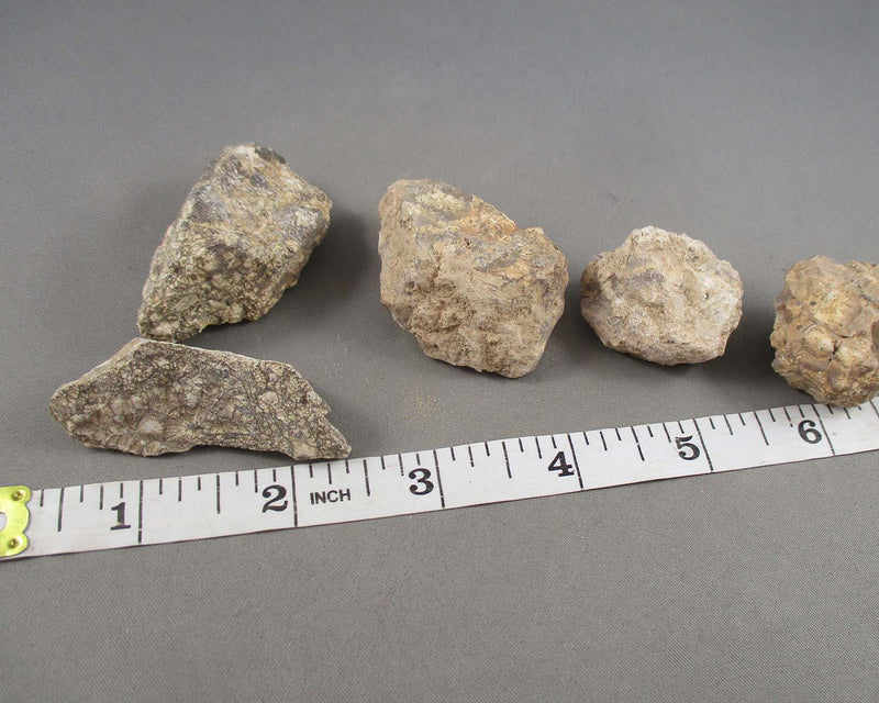 Rhyolite Stone Raw 2pcs Z065