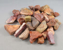 30% OFF!  Rainbow Petrified Wood Raw (Small) 3pcs Z067