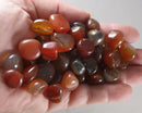 Carnelian Polished Stones (Small) 5pcs J090**
