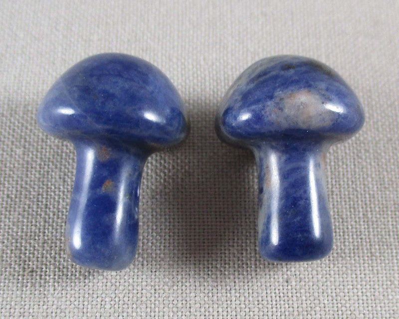 Sodalite Mushroom 1pc (0443)