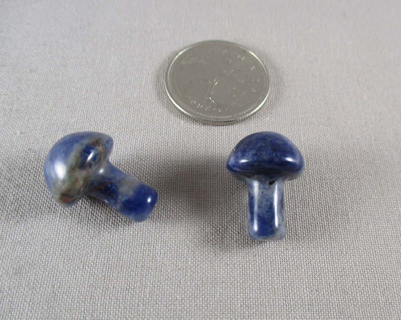 Sodalite Mushroom 1pc (0443)