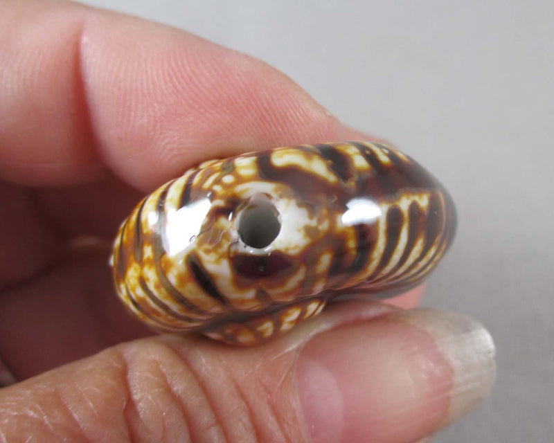50% OFF!! Ammonite Shell Bead Brown Porcelain 1pc (0917)