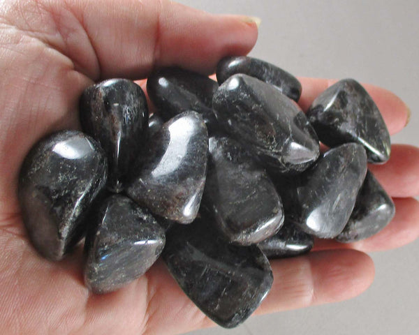 Astrophyllite Polished Stone 1pc J205**