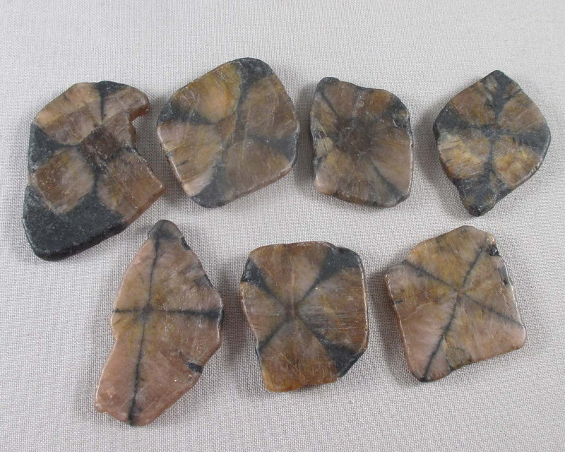 Chiastolite Polished Slice 1pc (C195)