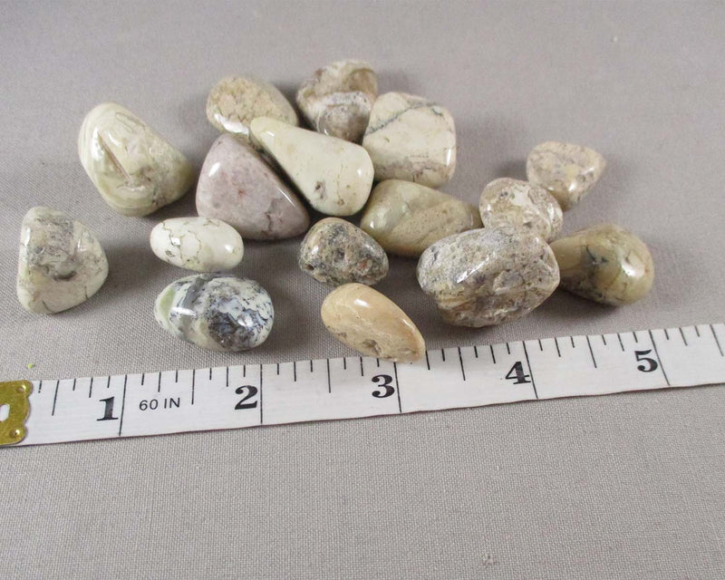 White Opal Polished Stones 5pcs J071**