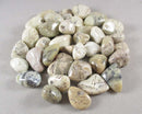 White Opal Polished Stones 5pcs J071**