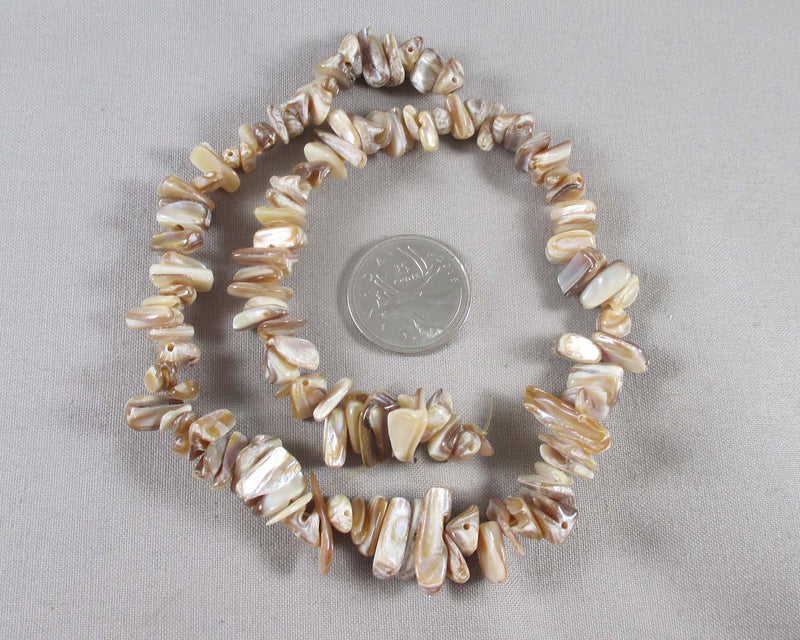 Brown Shell Chip Beads (Z130)