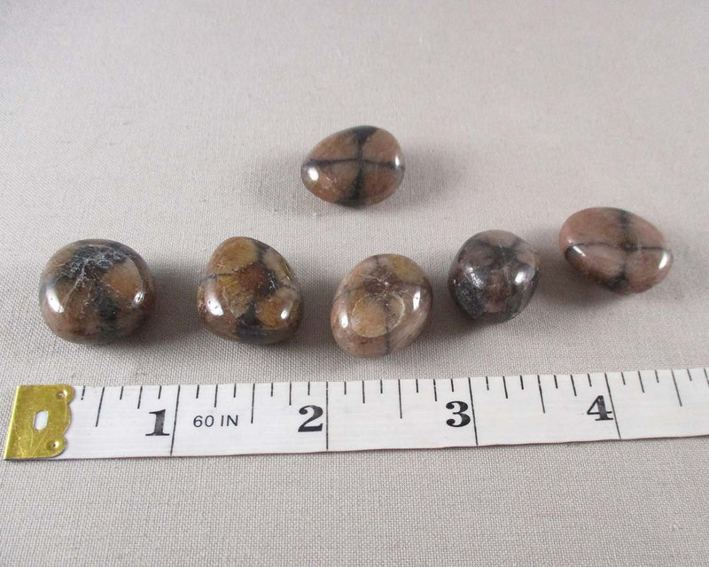 Chiastolite Polished Stone1 1pc T065