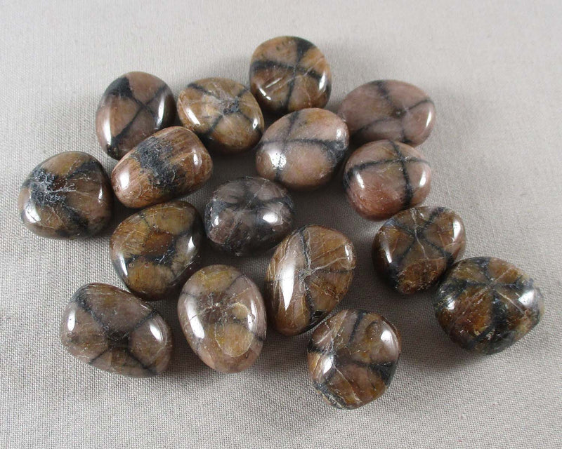 Chiastolite Polished Stone1 1pc T065