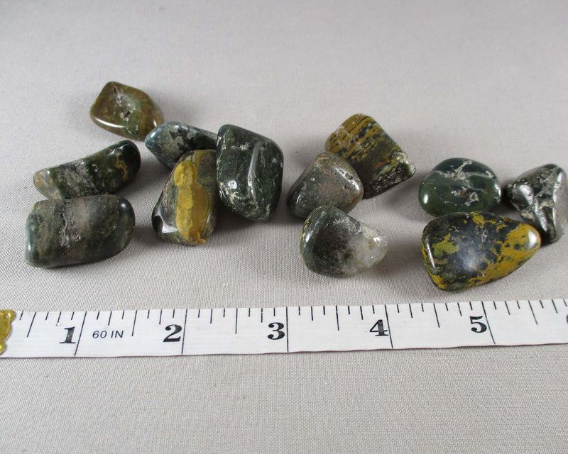 Ocean Jasper Polished Stones (Medium) 3pcs T115