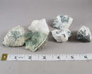 Tree Agate Raw Stones 3pcs H105**