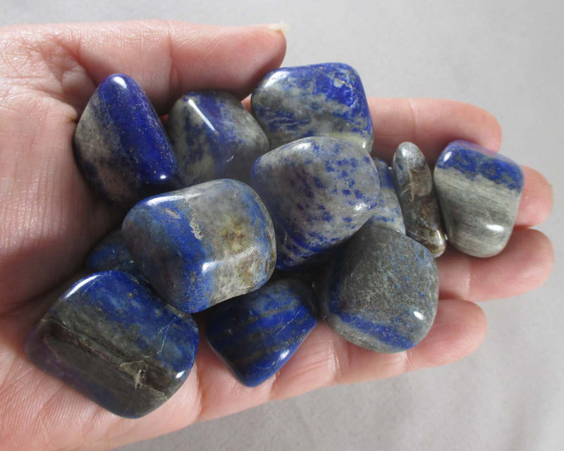 Lapis Lazuli Polished Stone (Medium) 1pc J213