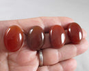 Carnelian Cabochon 2pcs 25x18mm (C493)