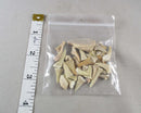 Sand Shark Teeth 20 Grams H014
