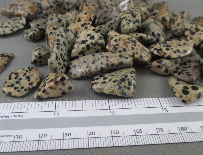 Dalmatian Jasper Polished Stones 5pcs J064**