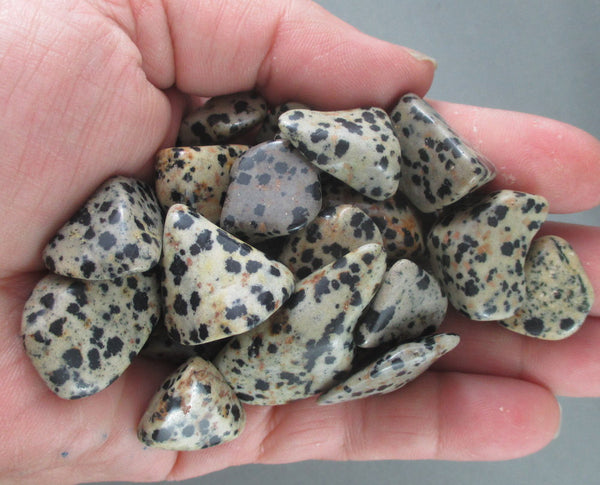 dalmatian jasper polished stone